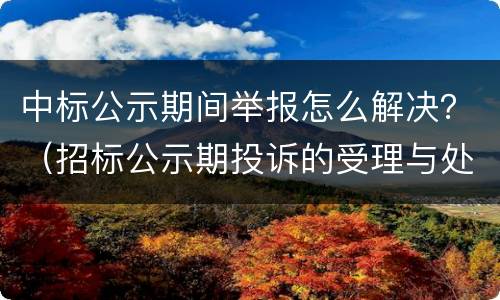中标公示期间举报怎么解决？（招标公示期投诉的受理与处理）