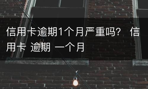 信用卡逾期1个月严重吗？ 信用卡 逾期 一个月