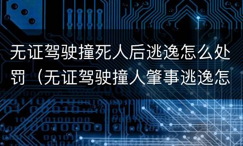 无证驾驶撞死人后逃逸怎么处罚（无证驾驶撞人肇事逃逸怎么处罚）