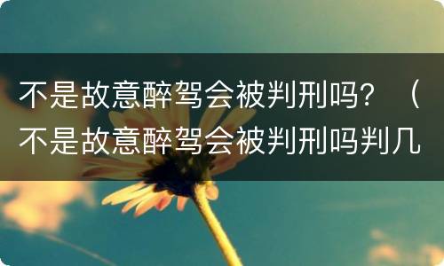 不是故意醉驾会被判刑吗？（不是故意醉驾会被判刑吗判几年）