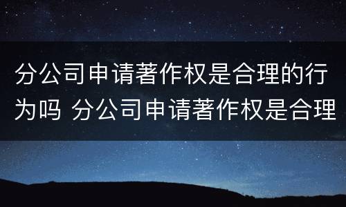 分公司申请著作权是合理的行为吗 分公司申请著作权是合理的行为吗对吗