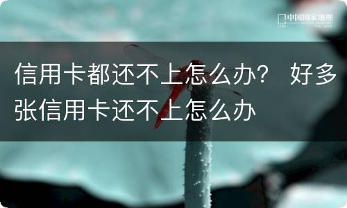 信用卡都还不上怎么办？ 好多张信用卡还不上怎么办