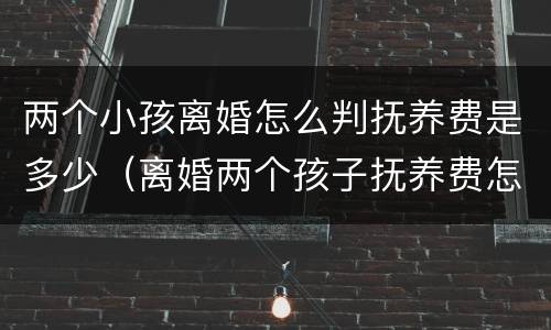 两个小孩离婚怎么判抚养费是多少（离婚两个孩子抚养费怎么判）