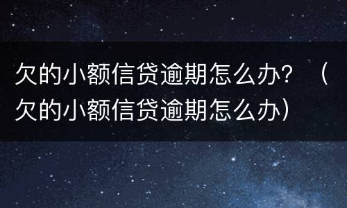 欠的小额信贷逾期怎么办？（欠的小额信贷逾期怎么办）