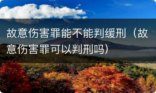 故意伤害罪能不能判缓刑（故意伤害罪可以判刑吗）