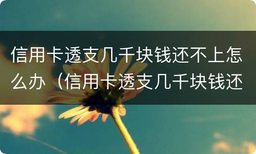 信用卡透支几千块钱还不上怎么办（信用卡透支几千块钱还不上怎么办?）