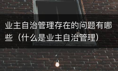 业主自治管理存在的问题有哪些（什么是业主自治管理）