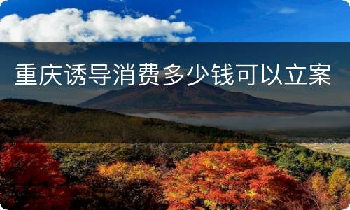 重庆诱导消费多少钱可以立案