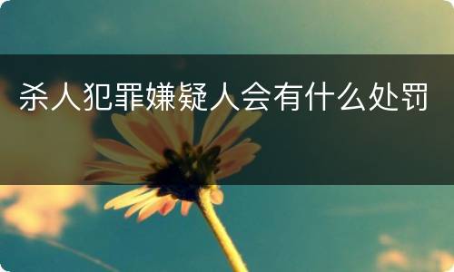 杀人犯罪嫌疑人会有什么处罚