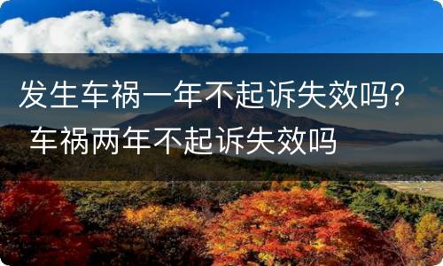 发生车祸一年不起诉失效吗？ 车祸两年不起诉失效吗