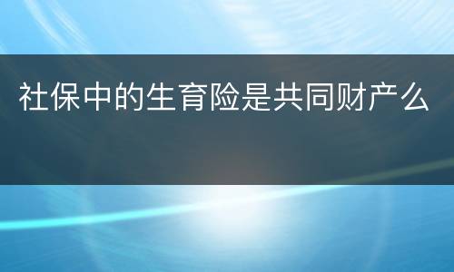 社保中的生育险是共同财产么