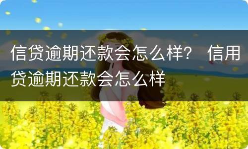 信贷逾期还款会怎么样？ 信用贷逾期还款会怎么样