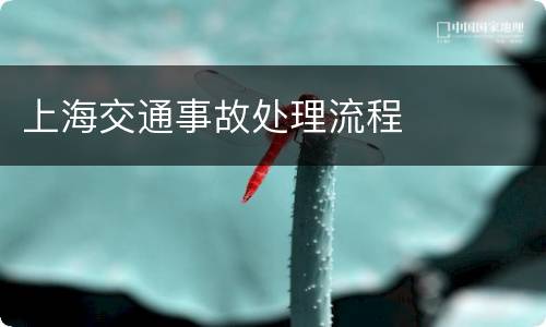 上海交通事故处理流程