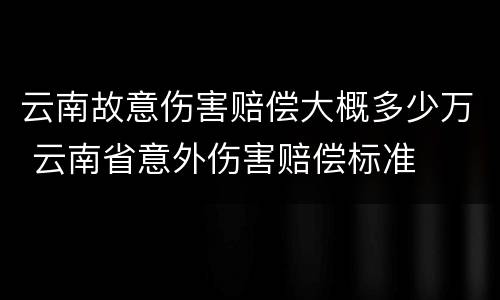 云南故意伤害赔偿大概多少万 云南省意外伤害赔偿标准