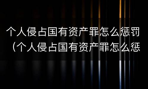 个人侵占国有资产罪怎么惩罚（个人侵占国有资产罪怎么惩罚他人）
