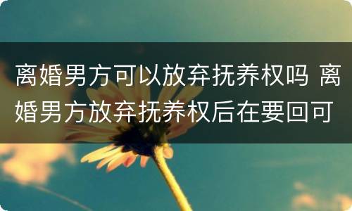 离婚男方可以放弃抚养权吗 离婚男方放弃抚养权后在要回可以吗?