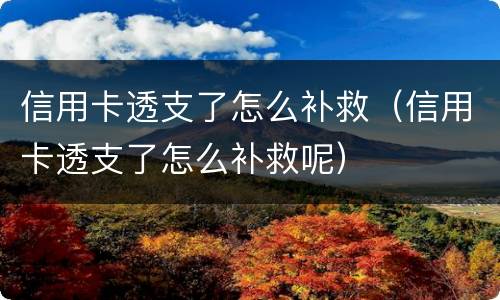 信用卡透支了怎么补救（信用卡透支了怎么补救呢）