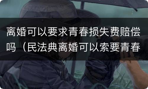 离婚可以要求青春损失费赔偿吗（民法典离婚可以索要青春损失费吗）