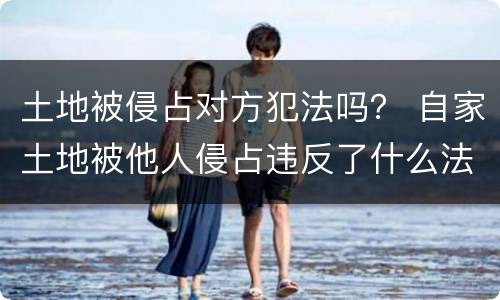 土地被侵占对方犯法吗？ 自家土地被他人侵占违反了什么法律