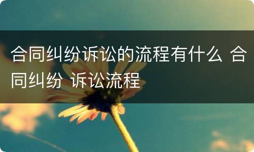 合同纠纷诉讼的流程有什么 合同纠纷 诉讼流程