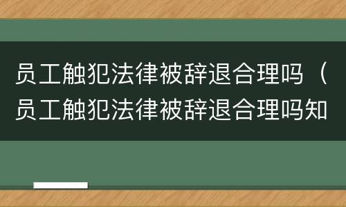 员工触犯法律被辞退合理吗（员工触犯法律被辞退合理吗知乎）