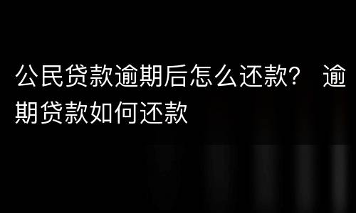 公民贷款逾期后怎么还款？ 逾期贷款如何还款