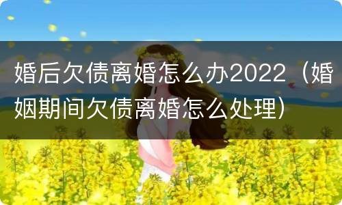 婚后欠债离婚怎么办2022（婚姻期间欠债离婚怎么处理）