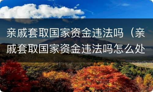 亲戚套取国家资金违法吗（亲戚套取国家资金违法吗怎么处理）