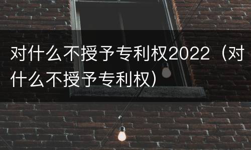 对什么不授予专利权2022（对什么不授予专利权）