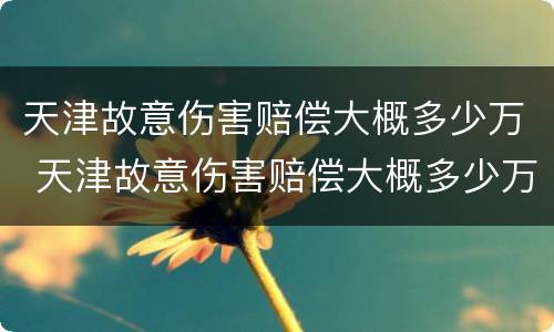 天津故意伤害赔偿大概多少万 天津故意伤害赔偿大概多少万元