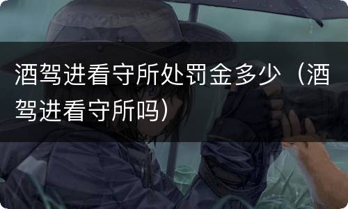 酒驾进看守所处罚金多少（酒驾进看守所吗）