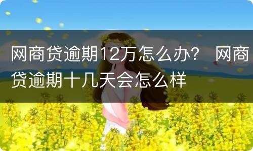 网商贷逾期12万怎么办？ 网商贷逾期十几天会怎么样