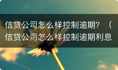 信贷公司怎么样控制逾期？（信贷公司怎么样控制逾期利息）