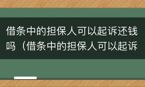 借条中的担保人可以起诉还钱吗（借条中的担保人可以起诉还钱吗有效吗）