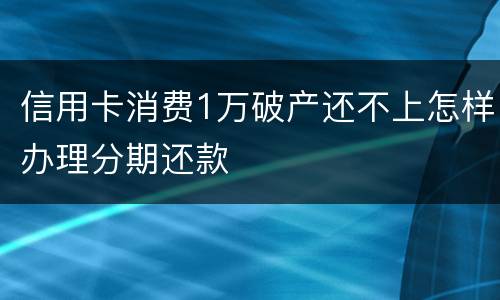 信用卡消费1万破产还不上怎样办理分期还款