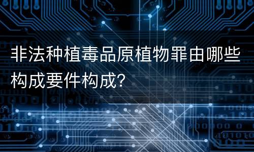 非法种植毒品原植物罪由哪些构成要件构成？