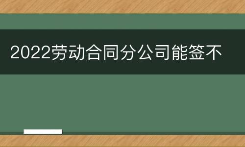 2022劳动合同分公司能签不