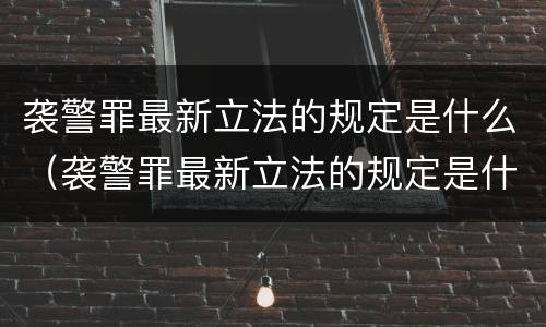 袭警罪最新立法的规定是什么（袭警罪最新立法的规定是什么呢）