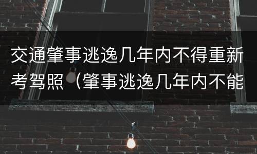 交通肇事逃逸几年内不得重新考驾照（肇事逃逸几年内不能考驾照）