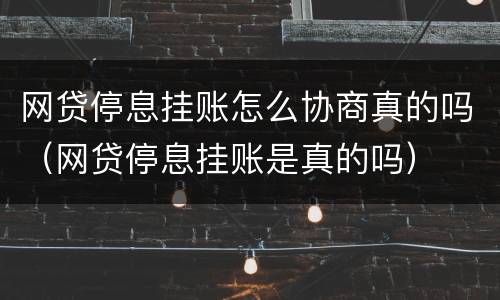 网贷停息挂账怎么协商真的吗（网贷停息挂账是真的吗）