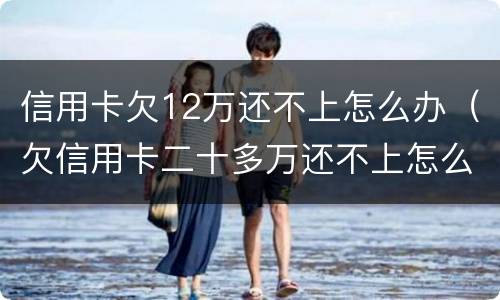 信用卡欠12万还不上怎么办（欠信用卡二十多万还不上怎么办）