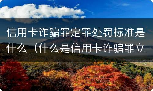 信用卡诈骗罪定罪处罚标准是什么（什么是信用卡诈骗罪立案标准）