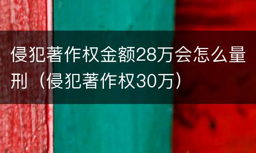 侵犯著作权金额28万会怎么量刑（侵犯著作权30万）