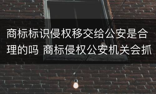 商标标识侵权移交给公安是合理的吗 商标侵权公安机关会抓人吗