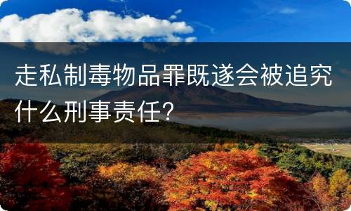 走私制毒物品罪既遂会被追究什么刑事责任?