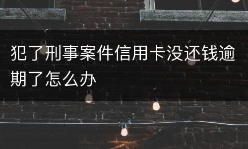 犯了刑事案件信用卡没还钱逾期了怎么办
