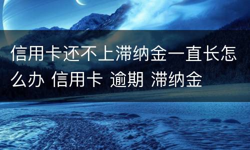 信用卡还不上滞纳金一直长怎么办 信用卡 逾期 滞纳金