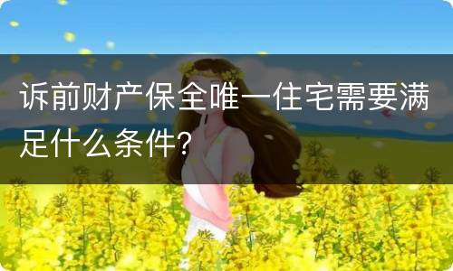 诉前财产保全唯一住宅需要满足什么条件？
