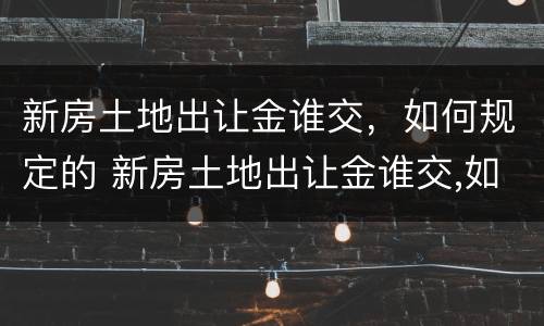 新房土地出让金谁交，如何规定的 新房土地出让金谁交,如何规定的呢