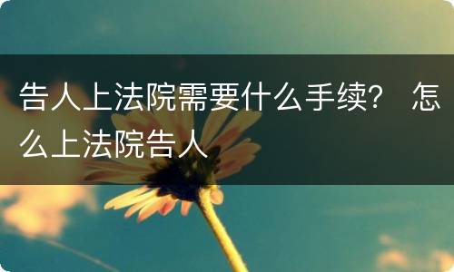 告人上法院需要什么手续？ 怎么上法院告人